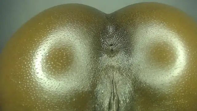 Shash-love Live XXX-Chat