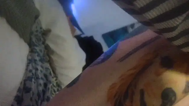 Živý XXX chat lavender_spits