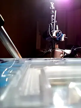 Dunkas69: διαδικτυακό σόου στην κάμερα