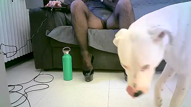 M87HOT Adlı Modelin Canlı XXX Sohbeti