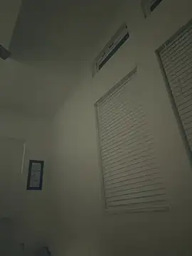 ZF-Athlete webcam show