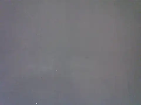 TheeRealShow Obrolan Langsung XXX