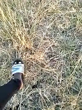 jellydicks Adlı Modelin Web Kamerası Şovu