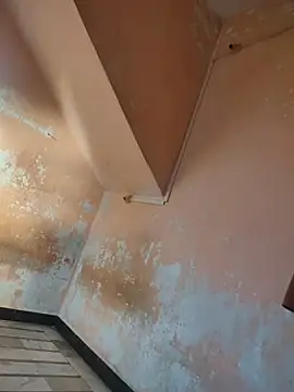 Tamillaxmi12のウェブカメラショー