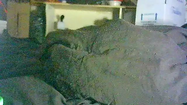 Show webcam de GUAPAN3S3_FIR3