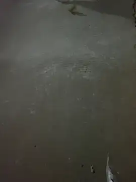 -CelesteFox- Live XXX-Chat