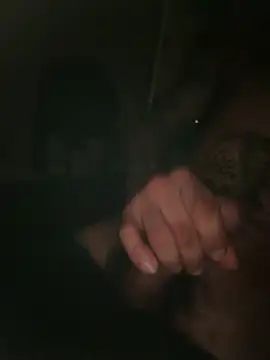 Show webcam de CcincoVilla