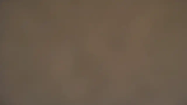 Chat XXX ao vivo de Lili_magic