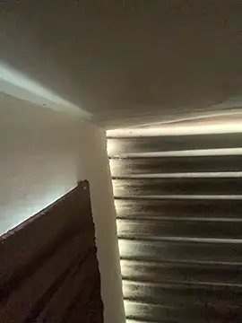 EnvolventeX: онлайн-секс-чат