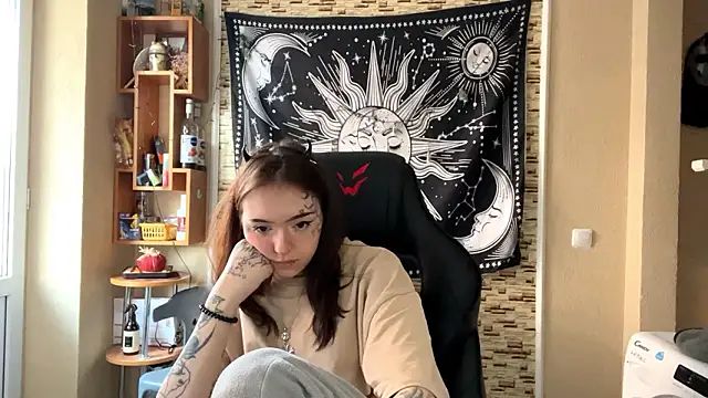 Littleways Webcam show