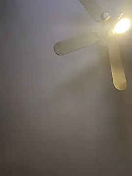 Werknjerkn Show in webcam