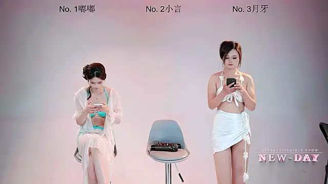 NEW-DAYn Webbikameraesitys