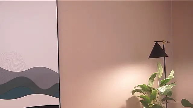 Ethan_occonorのウェブカメラショー