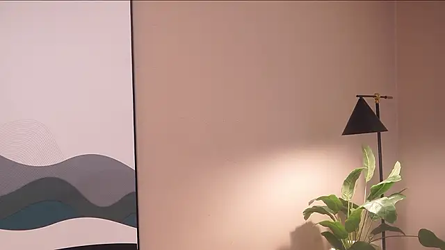 Ethan_occonor 网络视讯表演