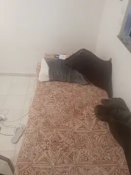 sexxymoon25 Live XXX-chat