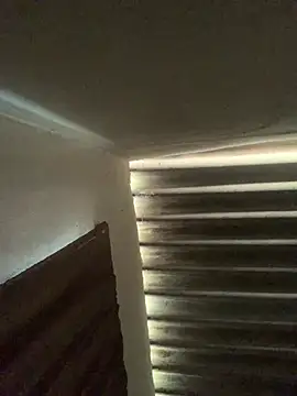 EnvolventeX Adlı Modelin Canlı XXX Sohbeti