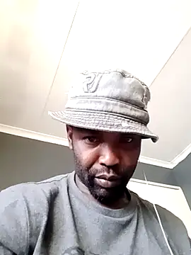 Stingo- – Live XXX-chat