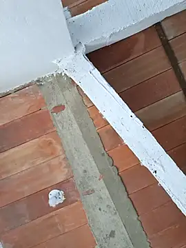 Cataleya_ja 现场XXX聊天