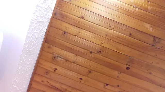 Show de webcam de nina_bae