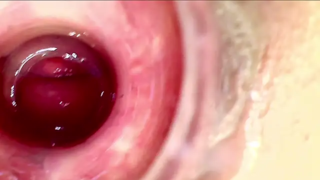 Show Webcam de karol_kane