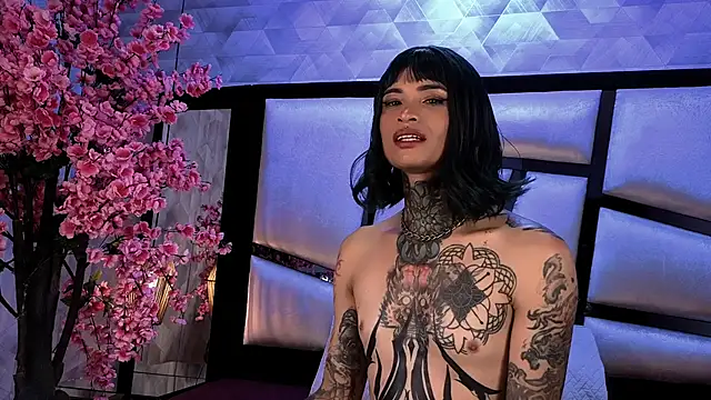 عرض كام Misakiseis1