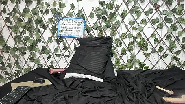 دردشة LittlePeach_ الجنسية المباشرة