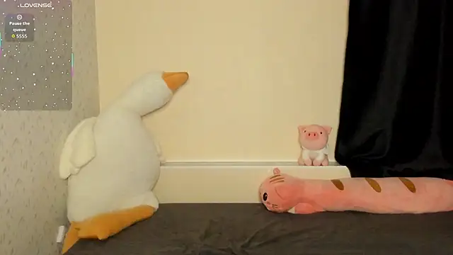 succubantra 现场XXX聊天