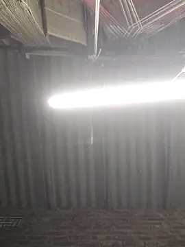 Pokazy przed kamerką – AapkaSathi