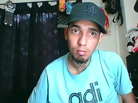 Stiward_newmann Webbikameraesitys