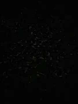 FreezingTie850 Webcam-Show