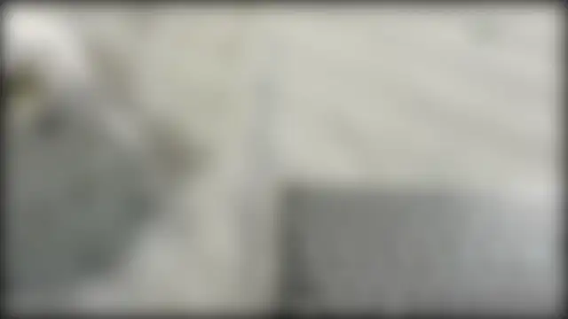 Lacht_Liden Chat XXX in diretta