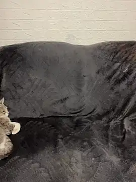 AlisRoxy 라이브 XXX 채팅