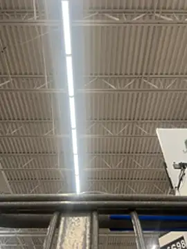 lolabunny9's Webcam Show