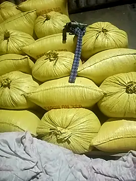 kaia-cam Chat XXX in diretta