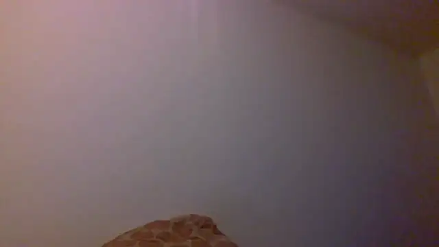 Show webcam de Kaappi1967