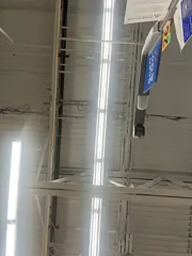 lolabunny9's Live XXX Chat