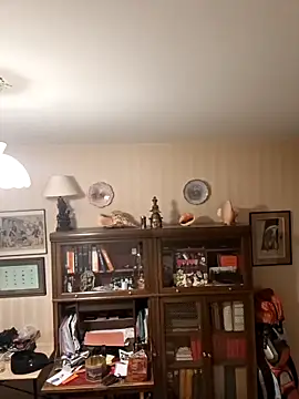 Perv10's Webcam Show