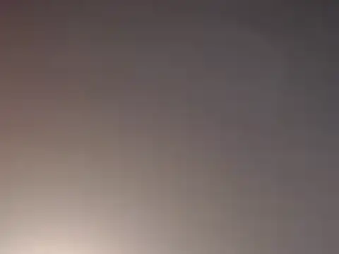 FurryCupLove555 – Live XXX-chat