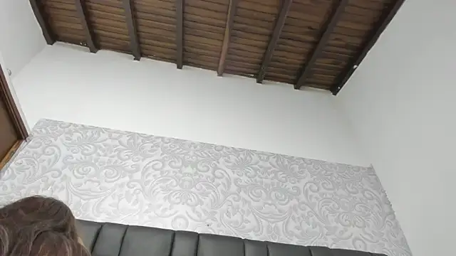 HarperAndMason's Webcam Show