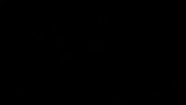 SoyOceanne Live XXX Chat