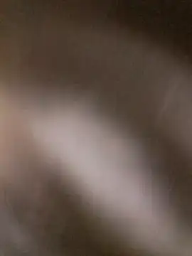 Stef-dlc Obrolan Langsung XXX