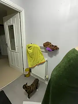 Tallulah-Rose-xoxoのライブXXXチャット