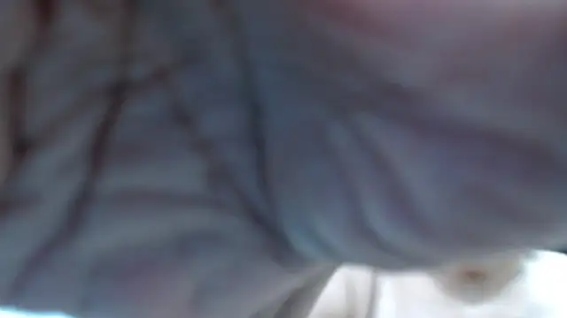 Sembang XXX Secara Langsung emiliaa_hot