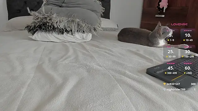 jordanmuskk 라이브 XXX 채팅