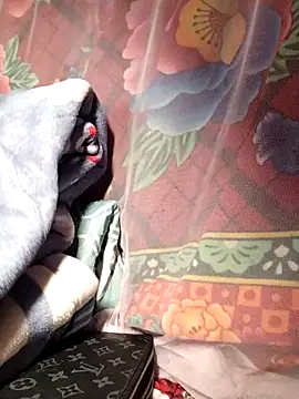 Reina_Fcup01 Show Webcam