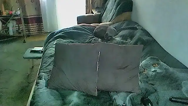 sex2 Obrolan Langsung XXX