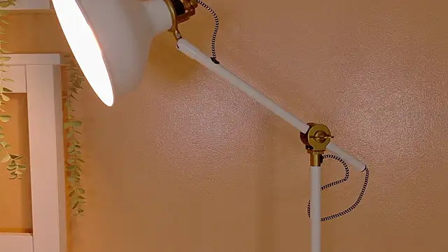 ParisFox_ élő XXX-chatje