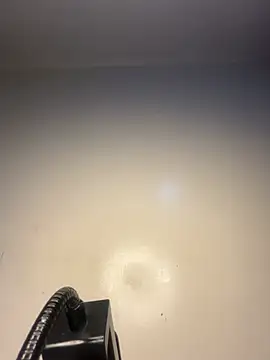 Živý XXX chat Reecekay