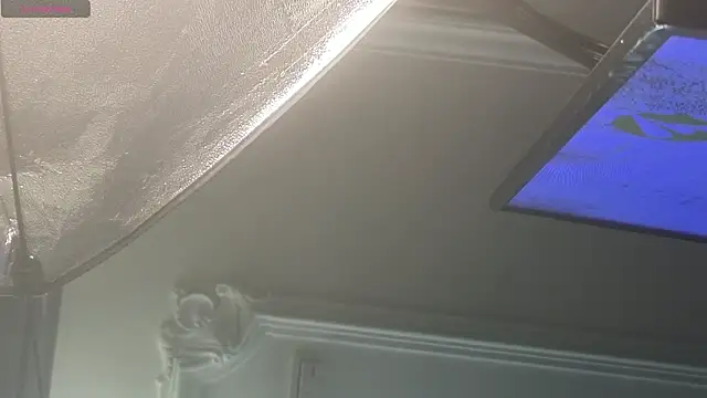 LiamRivers_ Pertunjukan Webcam