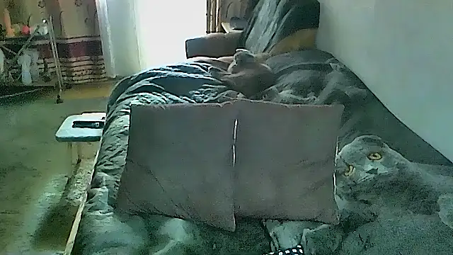 sex2 现场XXX聊天